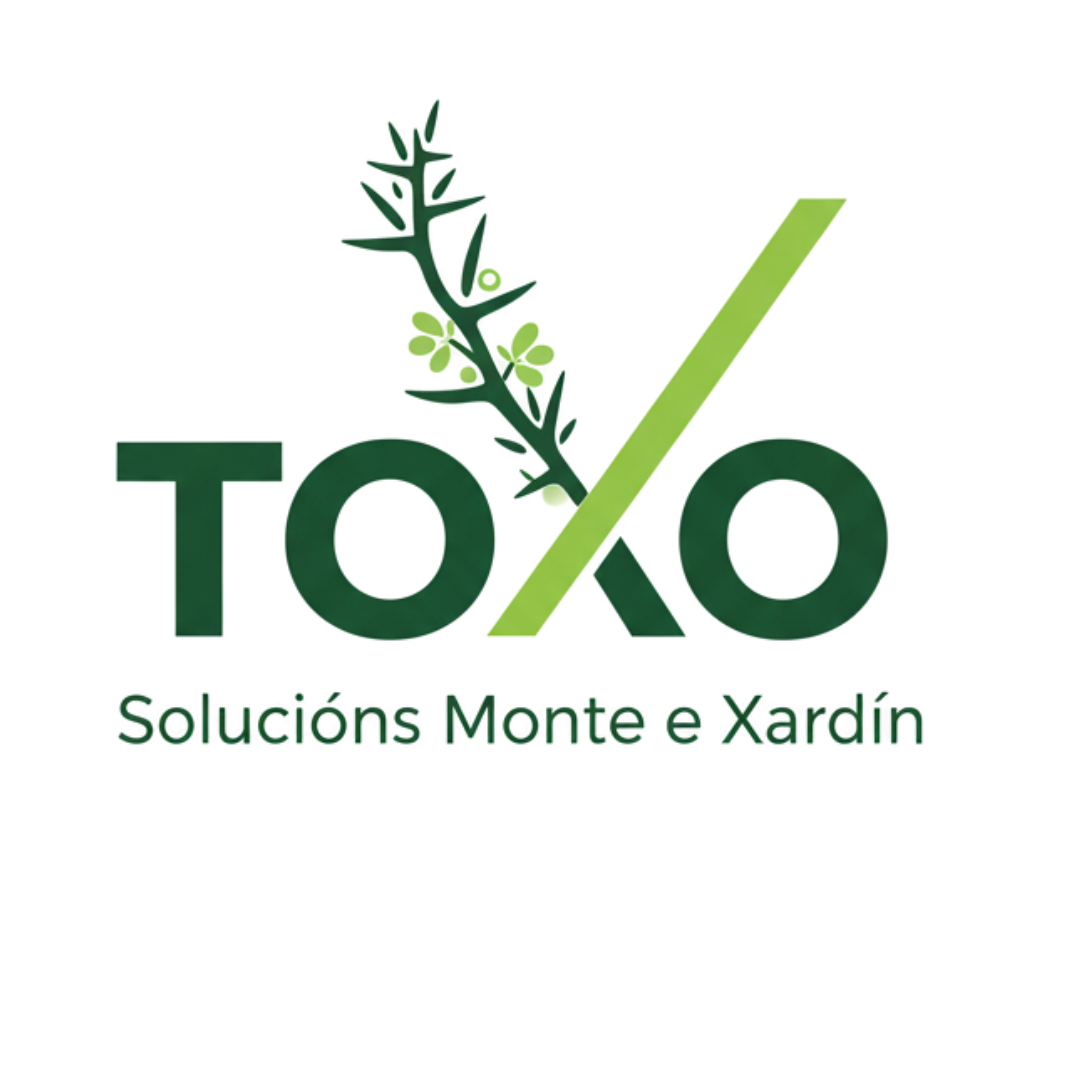 'toxoxardin'